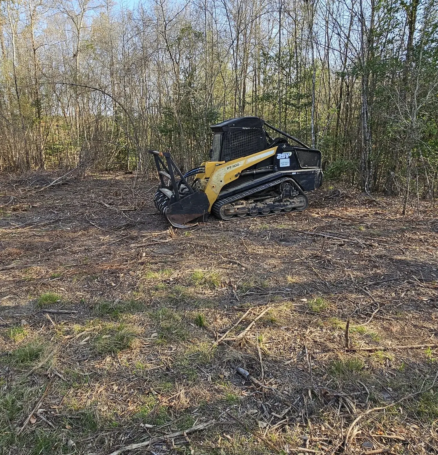 Tree Service